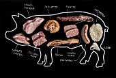 An illustration of a pig depicting various cuts of meat and products