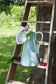 Old water pitcher and cherries on wooden ladder leaning against tree