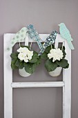 Bird ornaments hand-crafted from coloured paper and corrugated cardboard decorating potted white primulas hung on vintage window frame