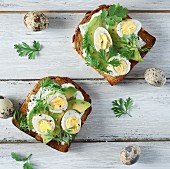 Toast with avocado, quail's eggs, garlic mayonnaise and herbs