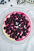 Blueberry cheesecake (seen from above)