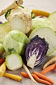 Cabbages and turnips (winter vegetables)