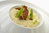 Champage risotto with morel mushrooms and green asparagus