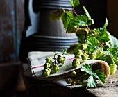 Hops flowers on a rustic wooden table