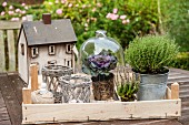 Holzsteige mit Windlichtern, Kräutertopf und unter Glashaube Zierkohl, im Hintergrund Miniaturhaus auf Gartentisch