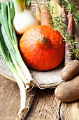 An arrangement of vegetables featuring pumpkin, fennel and potatoes