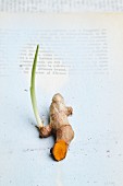 A turmeric root with a shoot