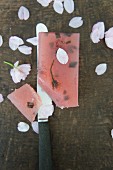 Japanische Süssigkeit zum Kirschblütenfest