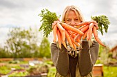 Frau hält frisch geerntete Karottenbündel im Garten
