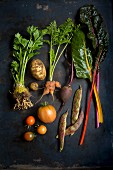 Verschiedene frische Gemüse auf dunklem Untergrund (Aufsicht)