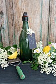 A bottle of elderflower syrup with lemons elderflowers and briar rose