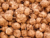 Jicama turnips at a market