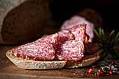 A slice of bread topped with red wine salami