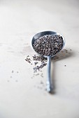 Chia seeds on a spoon