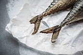 Two mackerel tails on a piece of paper