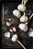 Garlic on a baking tray