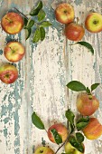Frische Äpfel rahmenförmig auf rustikalen Holztisch angeordnet (Aufsicht)
