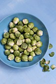 Brussels sprouts on a blue plate