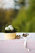 Quails' eggs in Easter nest on top of pink vintage trunk