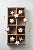 Cinnamon stars with mini sugar stars