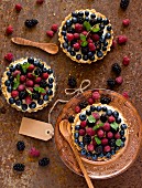 Berry tartlets with vanilla sauce (seen from above)