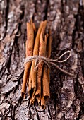 A bundle of cinnamon sticks on a piece of bark