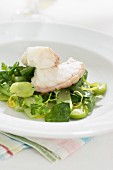 Cod fillet on a green salad