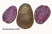 Blue Congo potatoes on a white surface