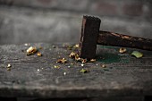 A crushed walnut with a hammer on a wooden table