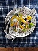 Fennel and orange salad with onions, olives and cottage cheese