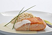 Grilled salmon with risotto