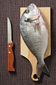 Seabream on a wooden board next to a knife