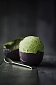 Homemade avocado ice cream