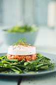 Salmon tartar with horseradish cream on green vegetables