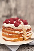 Creamy cake with raspberries