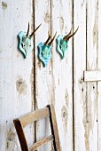 Hand-decorated deer antlers on turquoise wooden plaque on shabby-chic board wall