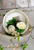 Moss, quail egg, small narcissus flower and feathers in vintage coffee cup