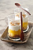Exotic layered desserts with coconut