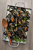 Mussels and parsley on a baking tray