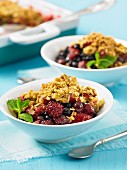 Berry bake with an oat crust