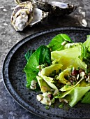 Steamed pointed cabbage with hazelnuts and oysters