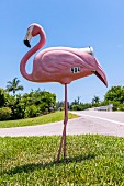 Mail box shaped like flamingo, Florida Panhandle, USA