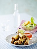 Spring rolls with a chilli dip (Asia)