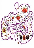 Zeichnung des menschlichen Verdauungssystems mit Nahrungsmitteln