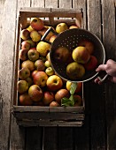 Various types of apples in a wooden crate and in a colander