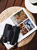 Black binoculars and open safari picture book on stool