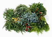 Various branches for making Advent wreath (fir, pine, holly, bay)