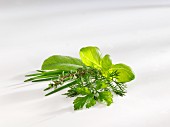 A bunch of herbs on a white surface