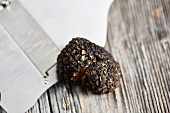 Summer or burgundy truffles (Tuber blotii)