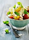 A colourful tomato salad with white beans, basil and Parmesan cheese
